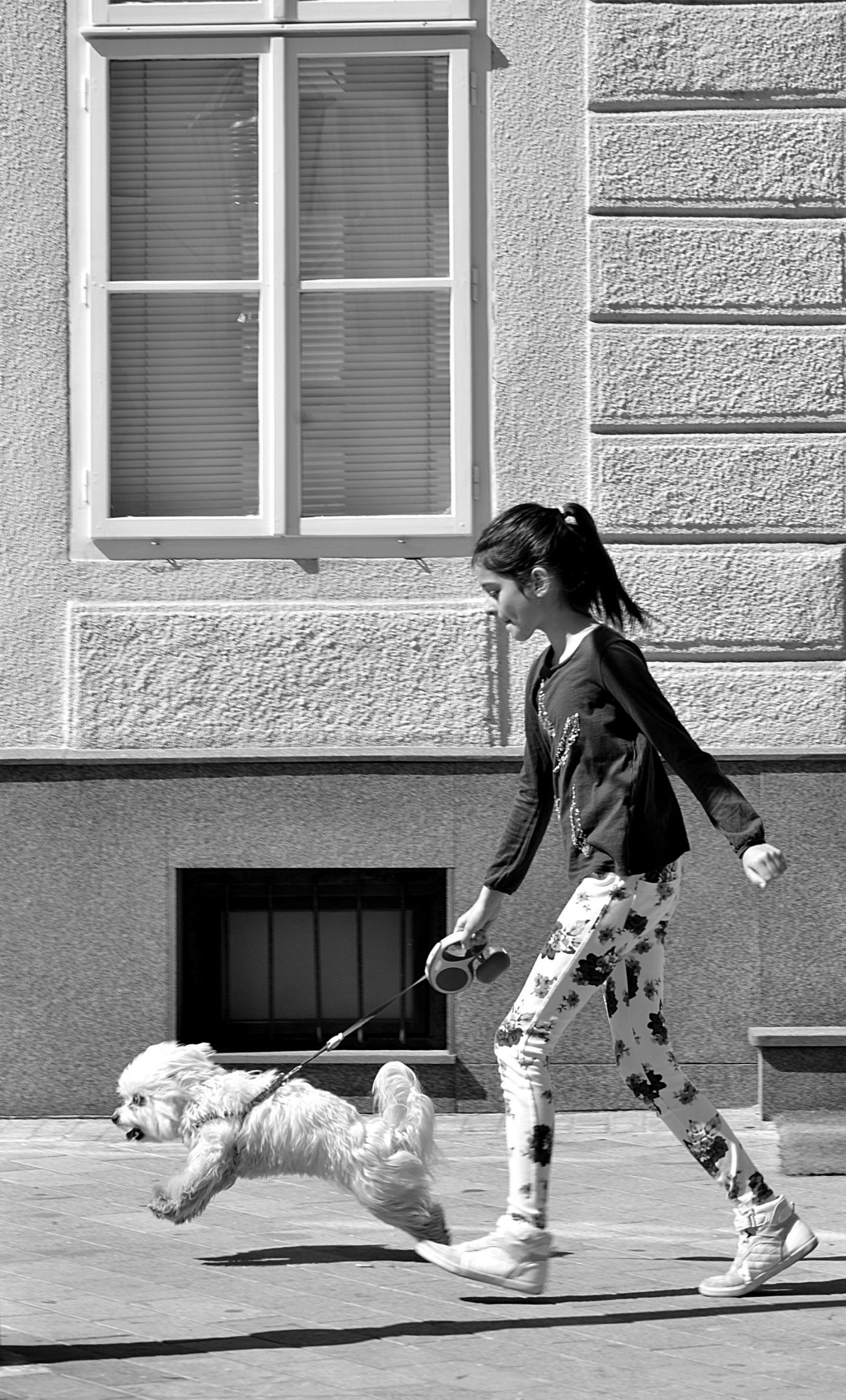 Girl with white dog
